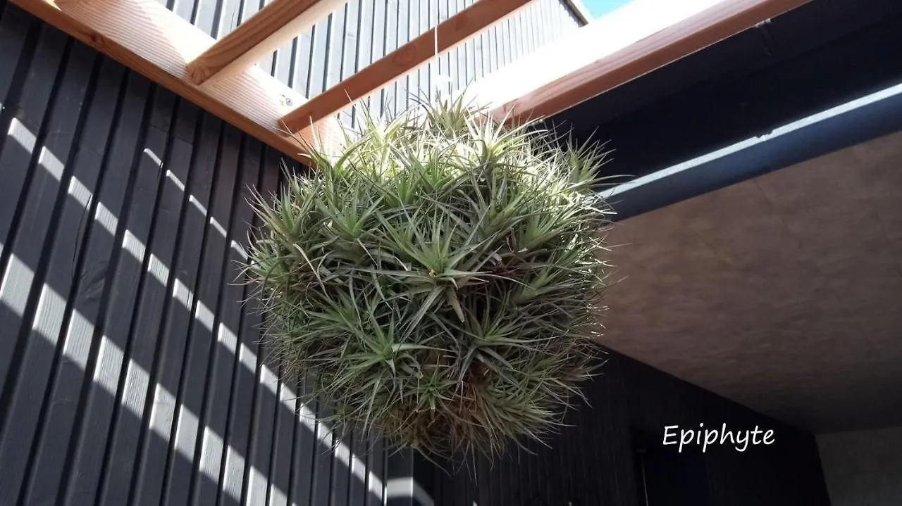 Appartement Epiphytes Et Succulentes à Paimpol 0*,
